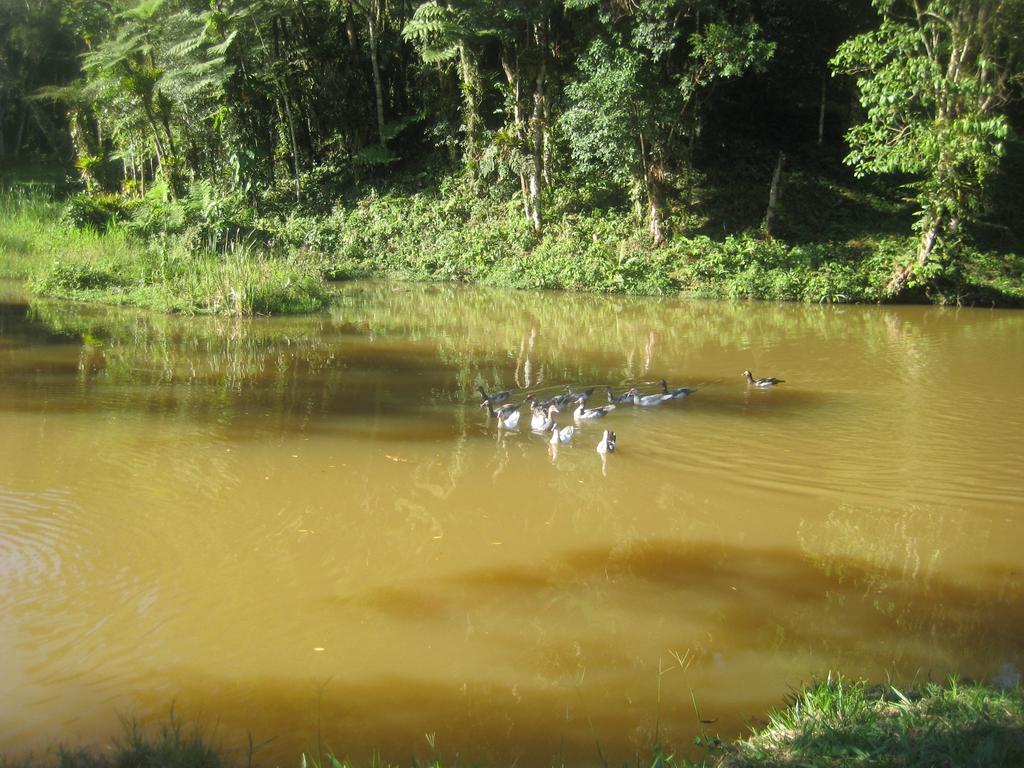 Pousada Recanto Dos Pinheiros Pilar do Sul Exterior foto